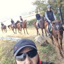 승마랜드 이미지