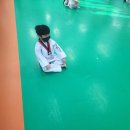 금빛나래태권도 이미지