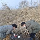 양평군 보건소 이미지