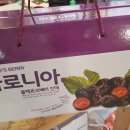수정건어물 이미지