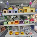 와우펫앤쥬 김해점 | 창원파충류샵 김해파충류샵 진주파충류샵 김해파충류 창원도마뱀 와우펫앤쥬 진주점