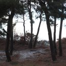 정기안 선생 묘 이미지