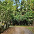 제주도캠핑카라반 이미지