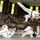 도약합기도 이미지