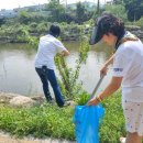 수원시 영통구 원천리천 수원시민신문