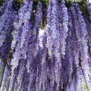 ‘세계 정원이 한자리에’ 서울국제정원박람회 이미지