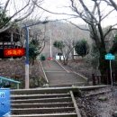 황령산 벚꽃약수터 이미지