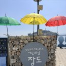 여수 장도 진섬다리 잠김 시간 확인 필수! 재방문 후기 📍