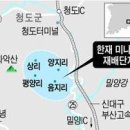 ◆제철 만난 한재미나리 … 이미지