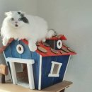 꼰 스튜디오 이미지