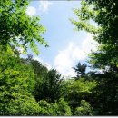 법수치계곡 펜션 꿈꾸는 숲 이미지