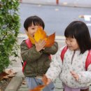 스마트폰사진활용 | 육아 사진부터 일상 기록까지, 스마트폰 사진 강의 후기｜온라인 클래스 빙그레씨님