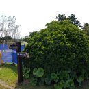 성만목장 이미지