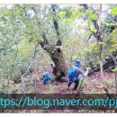 벽송산장 이미지