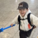 가족뮤지컬 <고고다이노-고고킹의 귀환> | 유아뮤지컬 고고다이노 #고고킹의귀환