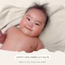 주니베베 | 신생아 두피각질 관리, 몽쉘베베 릴렉싱 오일로 해결한 후기!