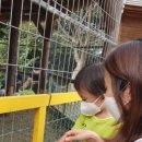 정하목장 이미지