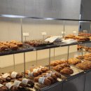 르디투어 고척 이미지