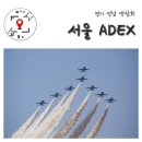 도보산업(주) | [성남] 서울 ADEX / 서울 국제 항공우주 및 방위산업 전시회 서울아덱스 블랙이글스 에어쇼 곡예비행...