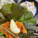 청송 | 청송맛집 팔팔식당 청송삼계탕 진보면맛집 후기