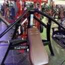 프레스밀 | 싸이벡스 머신 체스트프레스 숄더프레스 후기