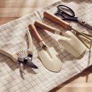 (봄맞이) 홈가드닝 이미지