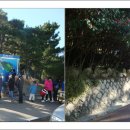 동백섬입구(웨스틴조선비치) 이미지