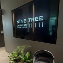 호텔나인 | 6개월 아기와 호캉스 판교 나인트리 호텔 후기, 얼리 체크인 팁, 준비물