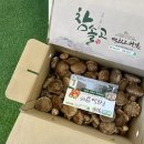 봄맞이 표고농장