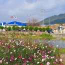 조비마을회관 이미지