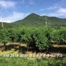 청도공인중개사사무소 이미지