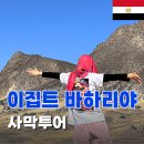 이집트한달살기 [바하리야오아시스 사막투어] 카이로여행 내돈내산 추천업체 후기 가격