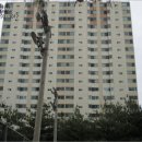 분당-199 이미지