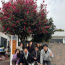 제주도 조용한 게스트하우스&#39;에서 혼자온 이웃들과 겨울을 따뜻하게 채우다. (#제주도1인전용게스트하우스)