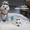 고마워 MIN 이미지