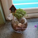 대구중리초등학교 이미지