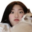 바른동물메디컬센터 이미지