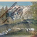 디엘홀딩스 이미지