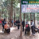 편백숲