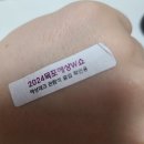 목포해상 W쇼 불꽃축제 다녀온 후기와 꿀팁방출!
