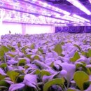 세계농장 이미지