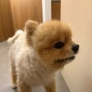 제이씨트레이딩