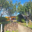 제주펜션 모이헤이 이미지