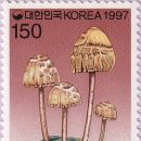 말뚝목장 이미지