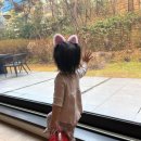 서이 MK스포츠