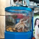 전포2동-8 이미지