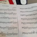 카바티나 이미지