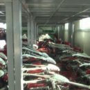 고창군 농기계임대사업소 이미지