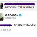 권다정