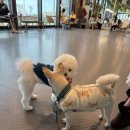 빅프렌즈미디어카페 이미지
